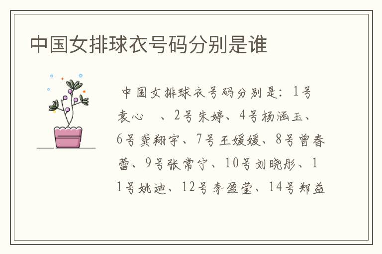 中国女排球衣号码分别是谁