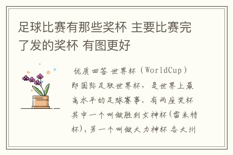 足球比赛有那些奖杯 主要比赛完了发的奖杯 有图更好