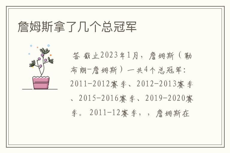 詹姆斯拿了几个总冠军