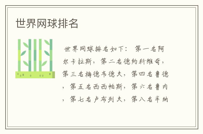 世界网球排名