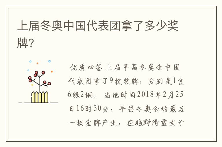 上届冬奥中国代表团拿了多少奖牌?