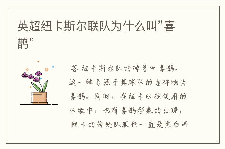 英超纽卡斯尔联队为什么叫”喜鹊”