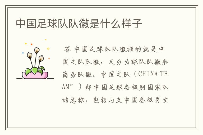 中国足球队队徽是什么样子