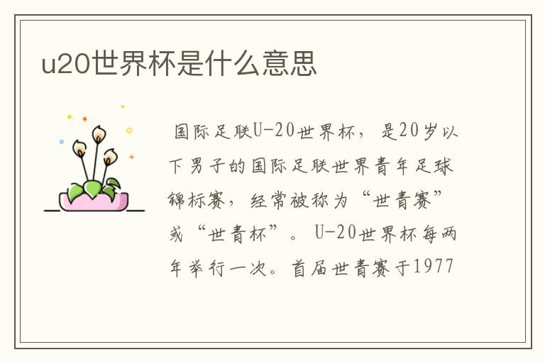 u20世界杯是什么意思