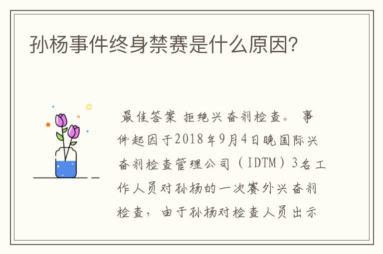 孙杨事件终身禁赛是什么原因?