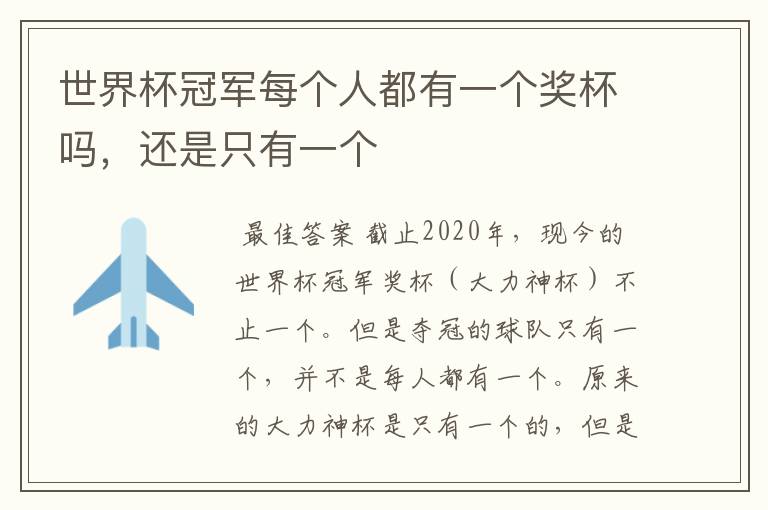 世界杯冠军每个人都有一个奖杯吗,还是只有一个