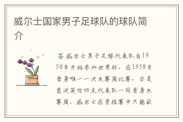 威尔士国家男子足球队的球队简介