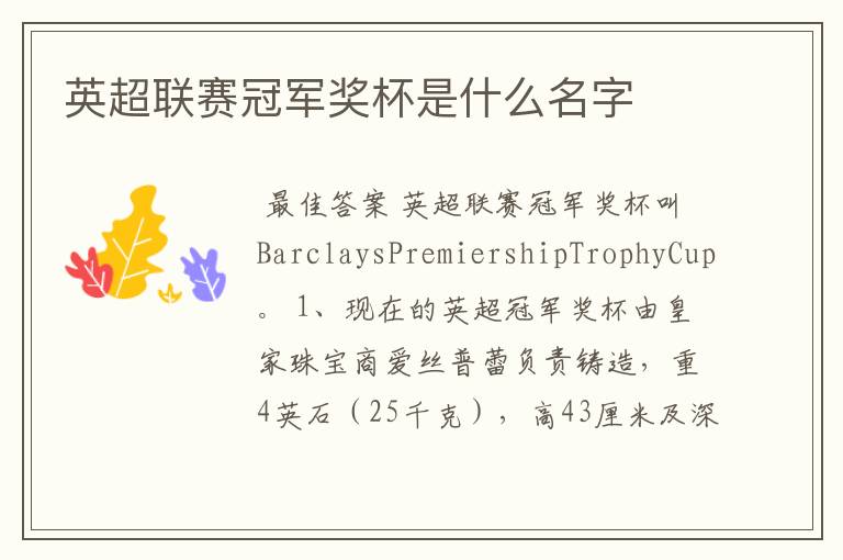 英超联赛冠军奖杯是什么名字