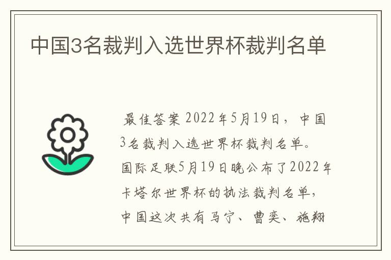 中国3名裁判入选世界杯裁判名单