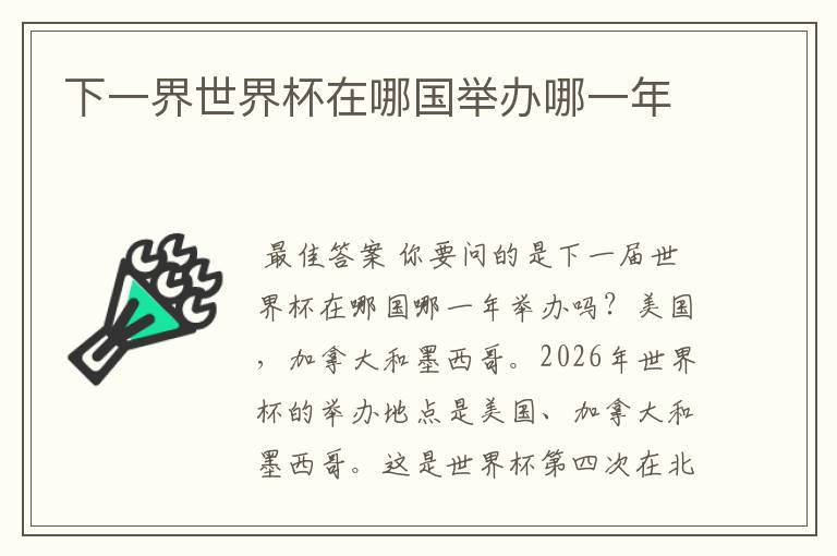 下一界世界杯在哪国举办哪一年