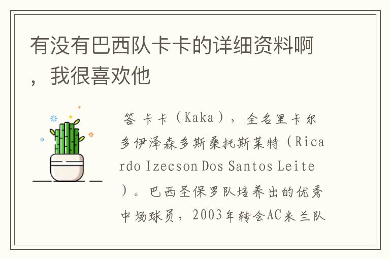 有没有巴西队卡卡的详细资料啊,我很喜欢他