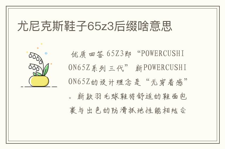 尤尼克斯鞋子65z3后缀啥意思