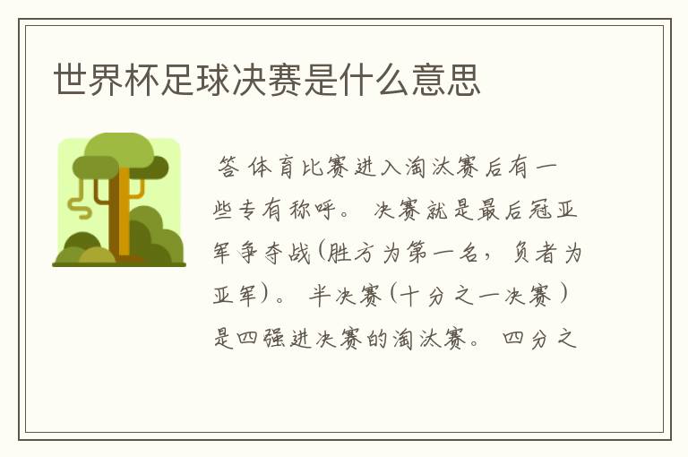 世界杯足球决赛是什么意思
