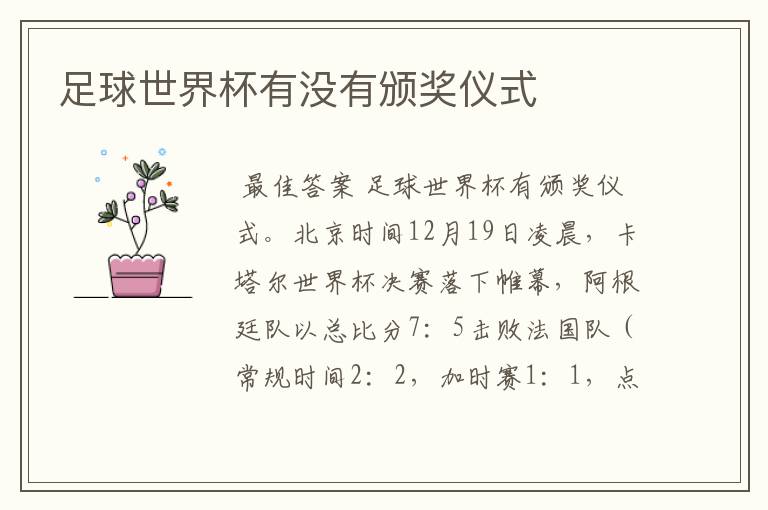 足球世界杯有没有颁奖仪式