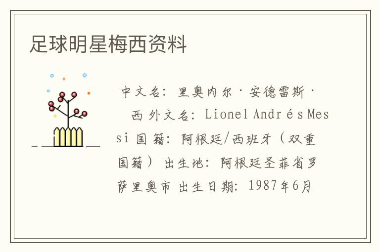 足球明星梅西资料