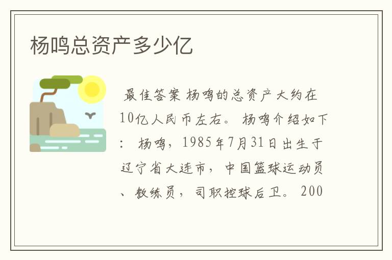 杨鸣总资产多少亿