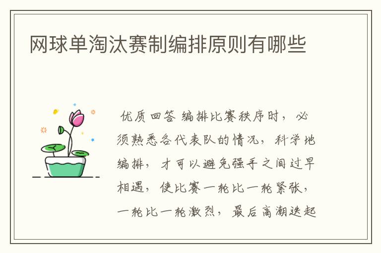 网球单淘汰赛制编排原则有哪些