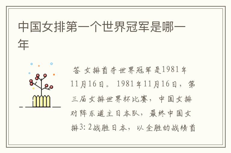 中国女排第一个世界冠军是哪一年
