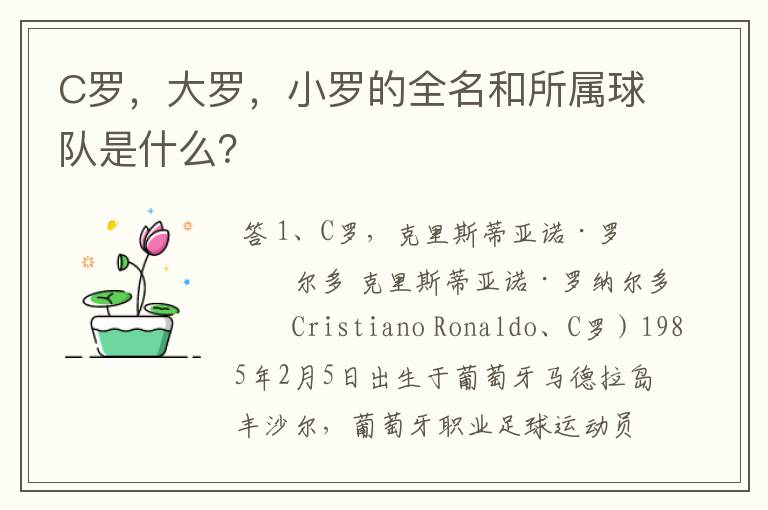 C罗,大罗,小罗的全名和所属球队是什么?