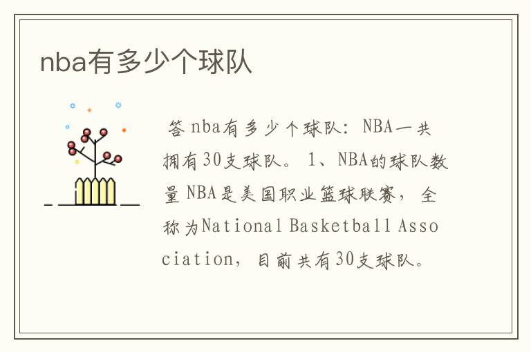 nba有多少个球队