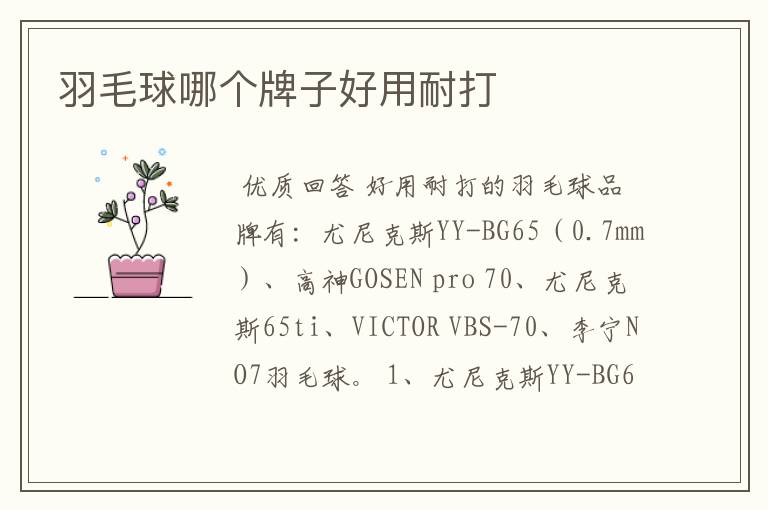 羽毛球哪个牌子好用耐打