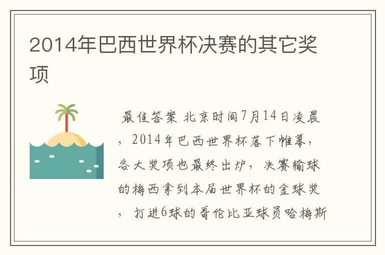 2014年巴西世界杯决赛的其它奖项