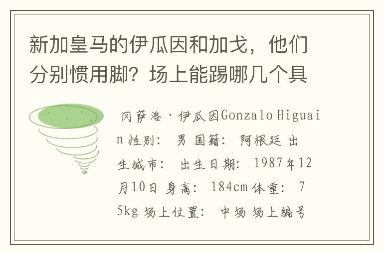 新加皇马的伊瓜因和加戈,他们分别惯用脚?场上能踢哪几个具体位置?