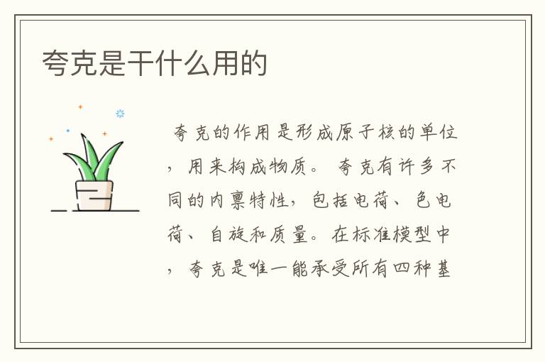 夸克是干什么用的