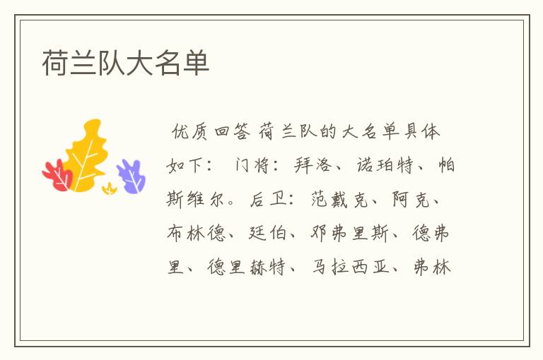 荷兰队大名单