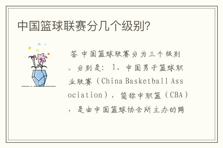 中国篮球联赛分几个级别?