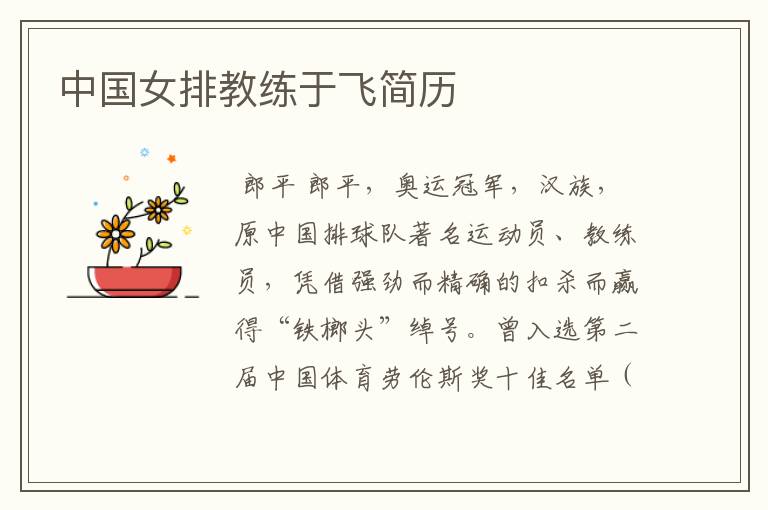 中国女排教练于飞简历