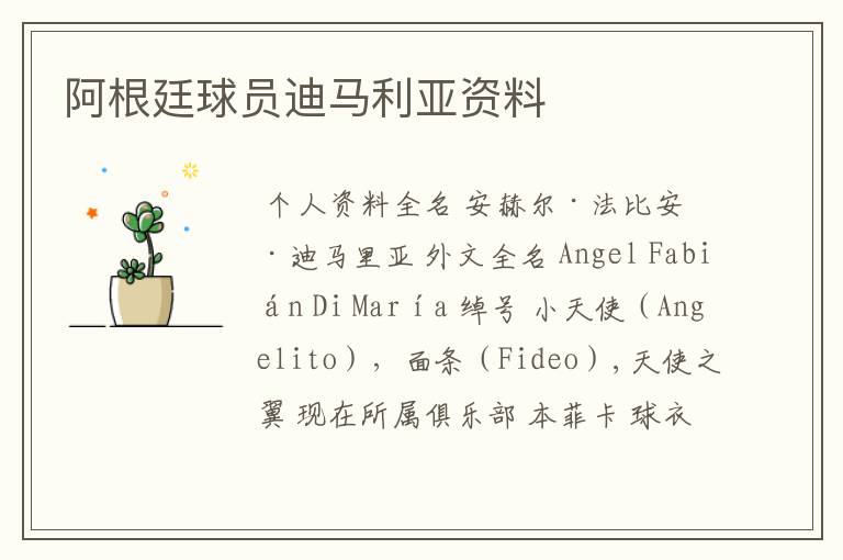 阿根廷球员迪马利亚资料