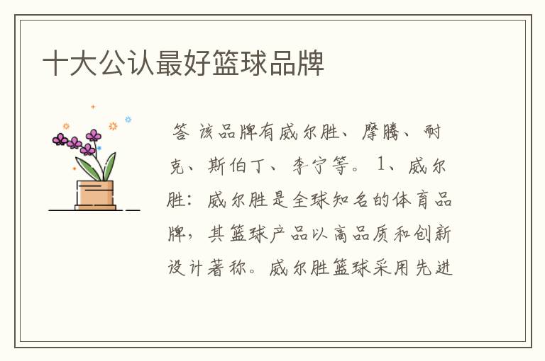 十大公认最好篮球品牌