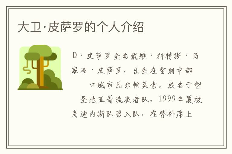 大卫·皮萨罗的个人介绍