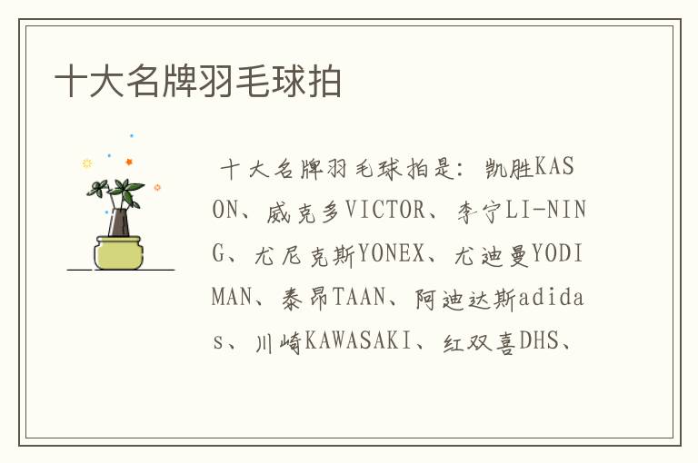 十大名牌羽毛球拍