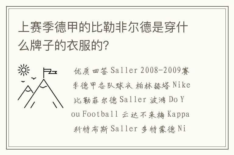 上赛季德甲的比勒非尔德是穿什么牌子的衣服的?