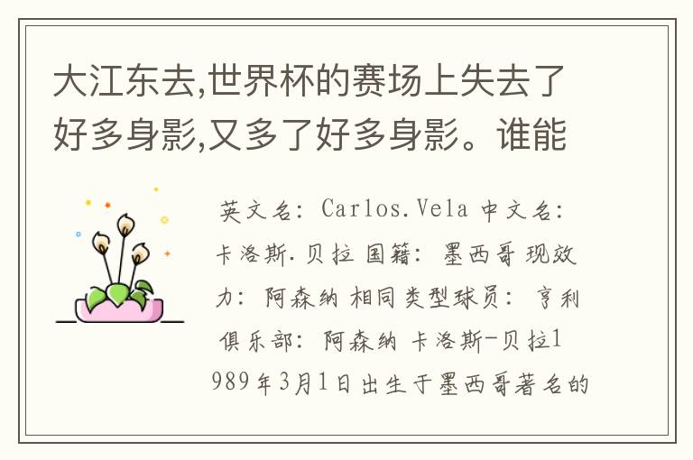 大江东去,世界杯的赛场上失去了好多身影,又多了好多身影。谁能告诉我墨西哥的中锋贝拉的信息