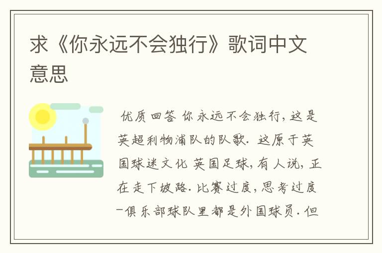 求《你永远不会独行》歌词中文意思