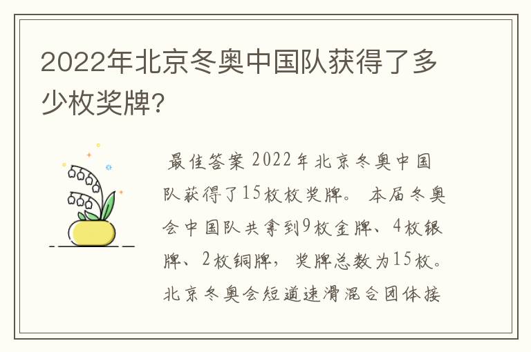 2022年北京冬奥中国队获得了多少枚奖牌?