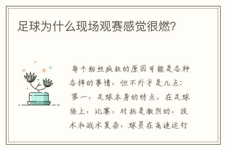 足球为什么现场观赛感觉很燃?