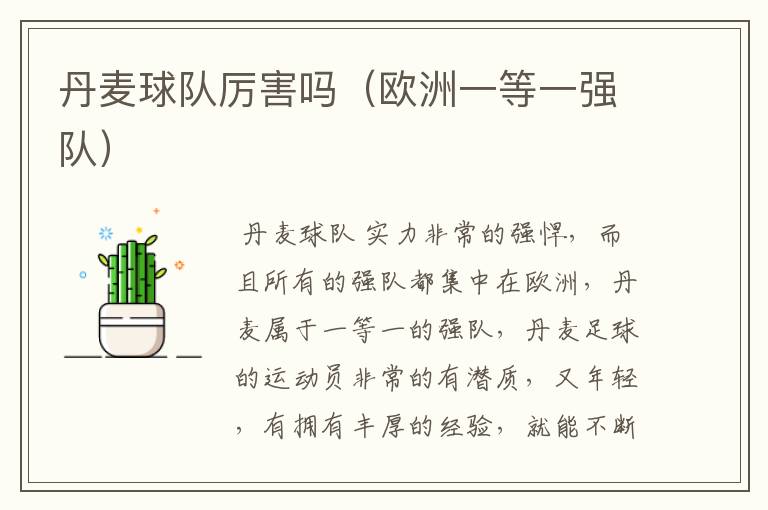 丹麦球队厉害吗(欧洲一等一强队)