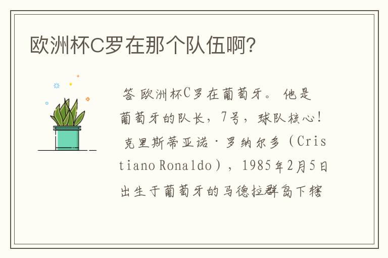 欧洲杯C罗在那个队伍啊?