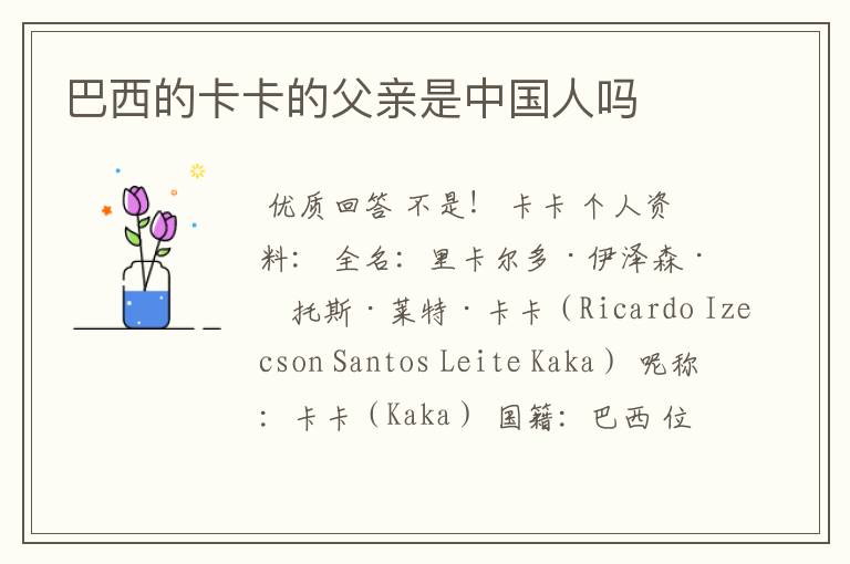 巴西的卡卡的父亲是中国人吗