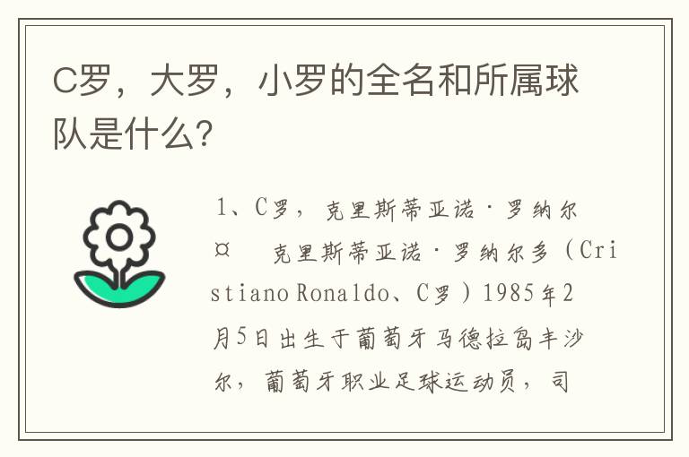 C罗,大罗,小罗的全名和所属球队是什么?