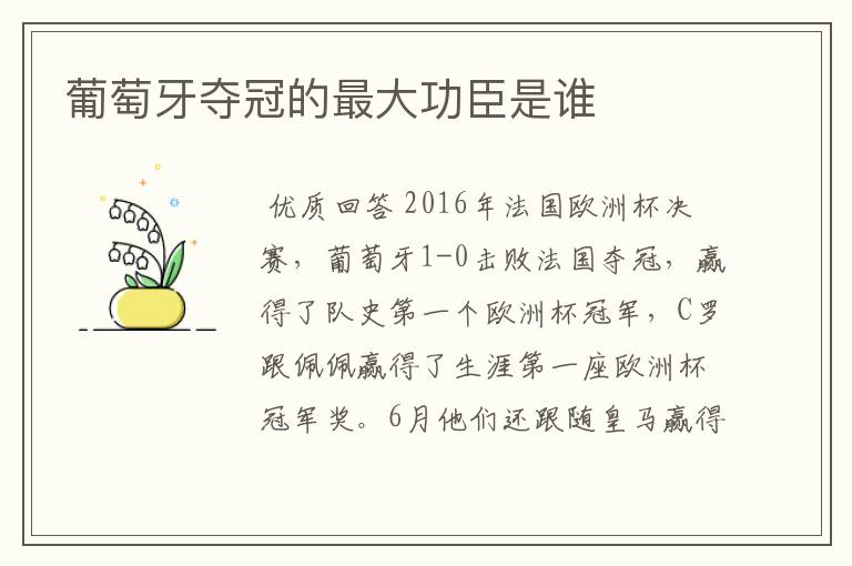 葡萄牙夺冠的最大功臣是谁