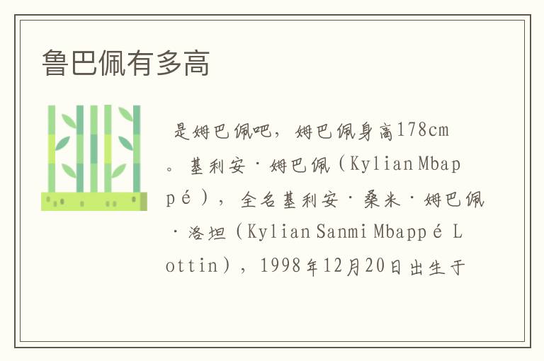 鲁巴佩有多高
