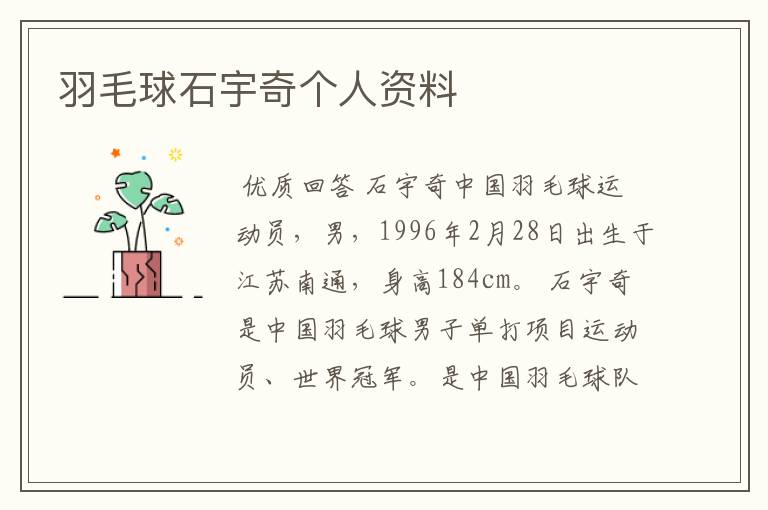 羽毛球石宇奇个人资料