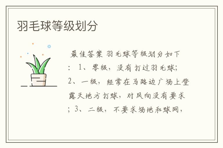 羽毛球等级划分
