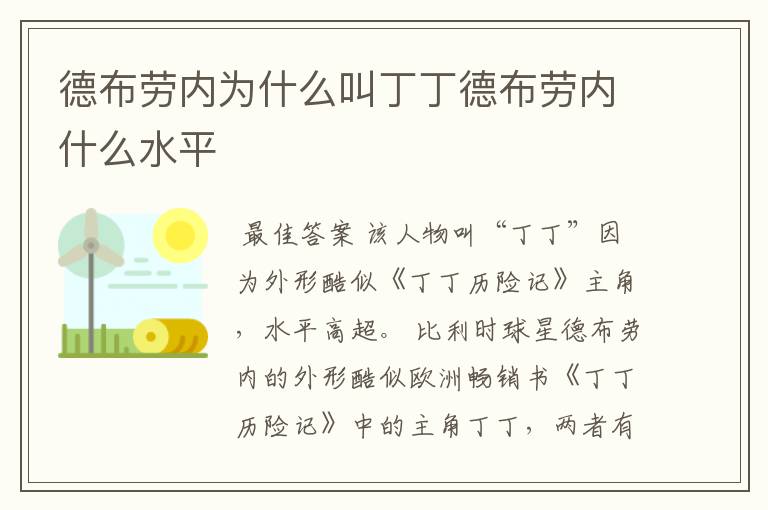 德布劳内为什么叫丁丁德布劳内什么水平