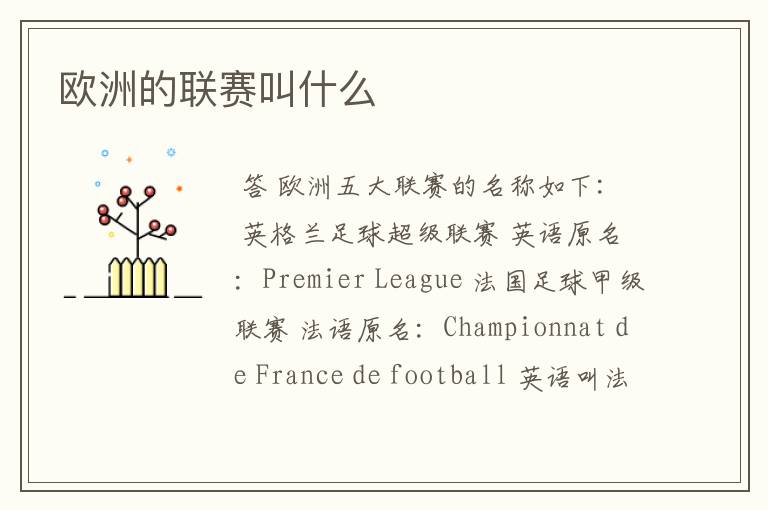 欧洲的联赛叫什么